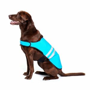 Adventure Gear Blue Cooling Dog Vest Clothing & Accessories