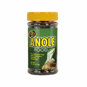 Anole American Chameleon Food Reptile