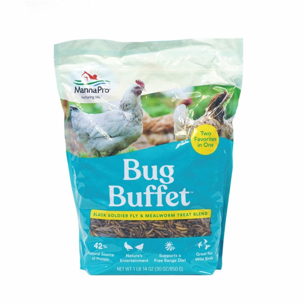 Bug Buffet 30Oz Pet Bird