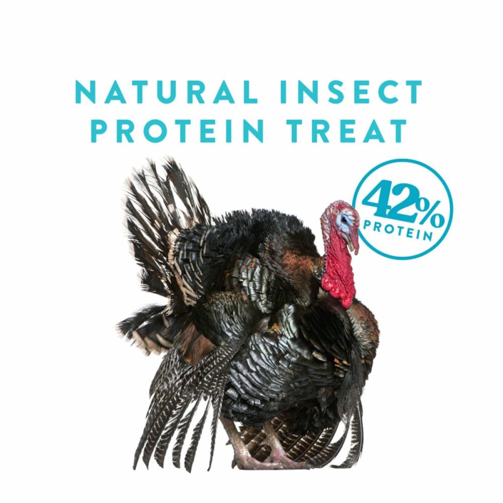 Bug Buffet 30Oz Pet Bird