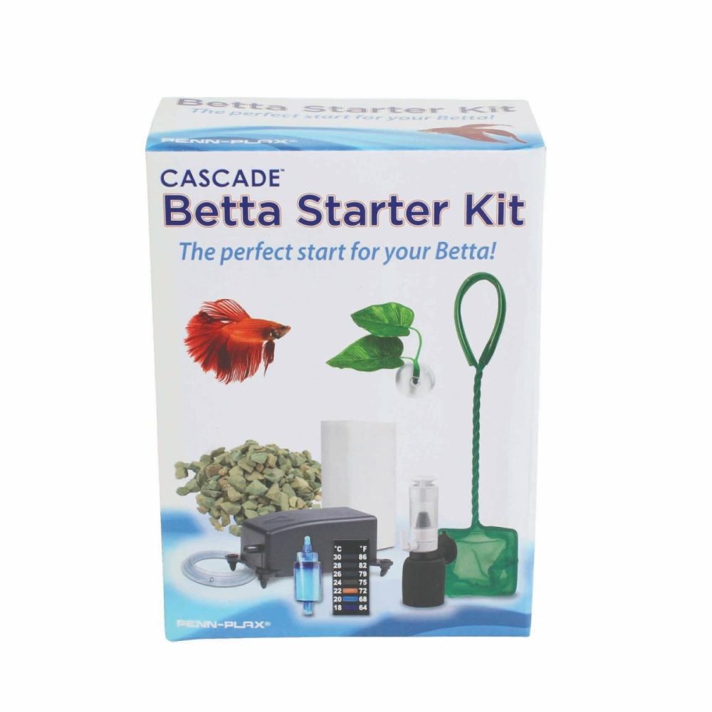 Cascade Betta Fish Starter Kit Pet Fish