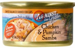 Chicken And Pumpkin Samba Canned Cat Food Cat