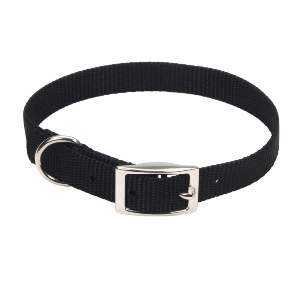 Coastal® Single-Ply Dog Collar, Black Small Dog