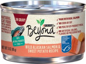 Grain-Free Salmon & Sweet Potato Recipe In Gravy Canned Cat Food Cat