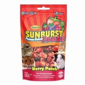 Higgins Sunburst Freeze Dried Fruit Berry Patch Treat Small Animal