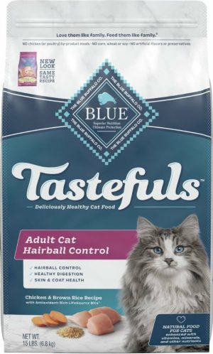 Indoor Hairball Control Chicken & Brown Rice Recipe Dry Cat Food Cat