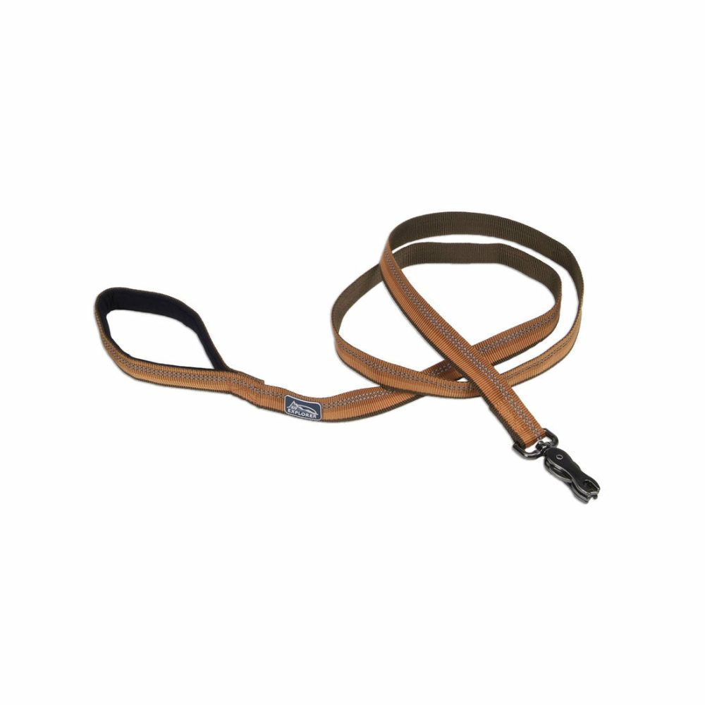 K9 Explorer® Reflective Dog Leash With Scissor Snap, Brown 1″ X 6′ Dog