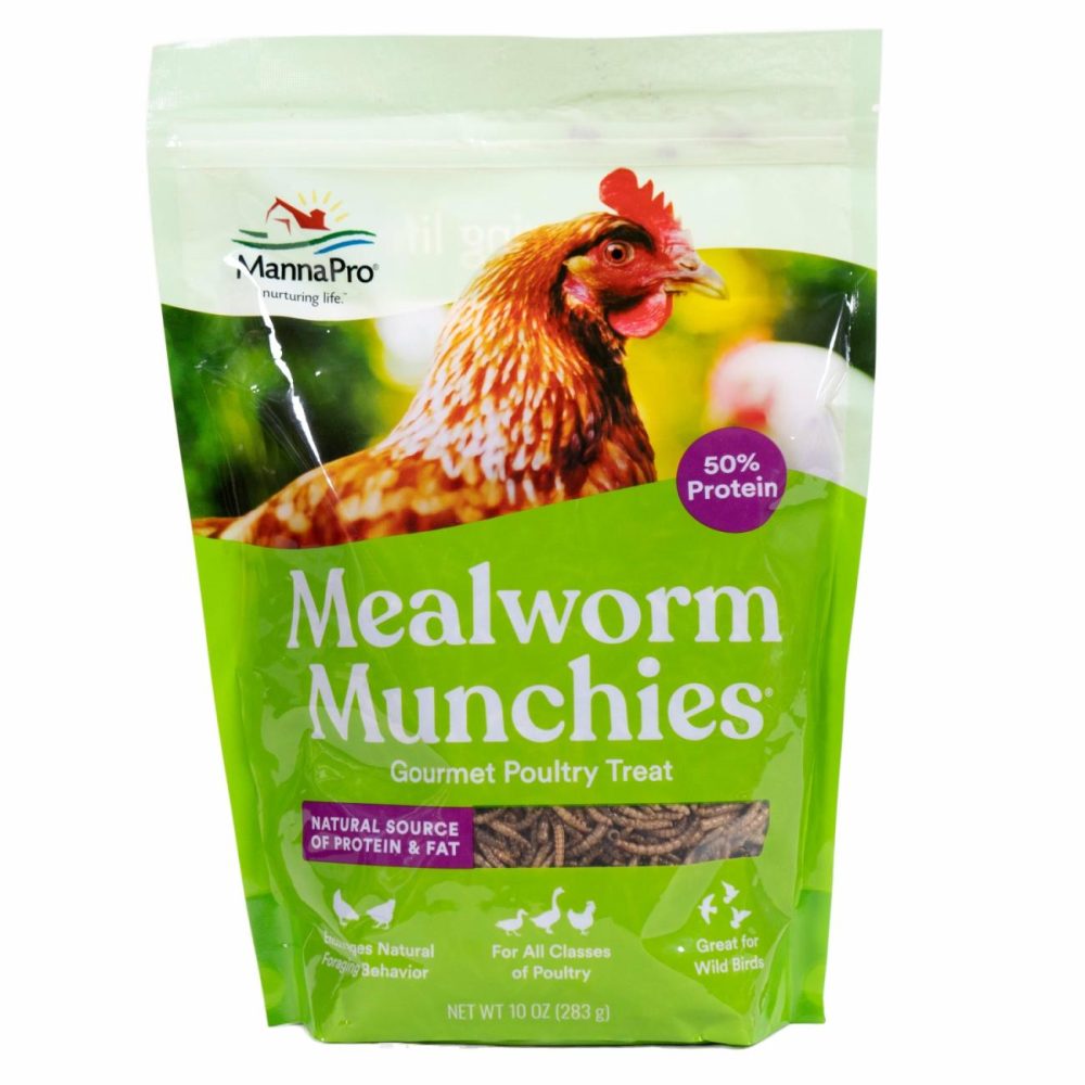 Mealworm Munchies 10Oz Pet Bird