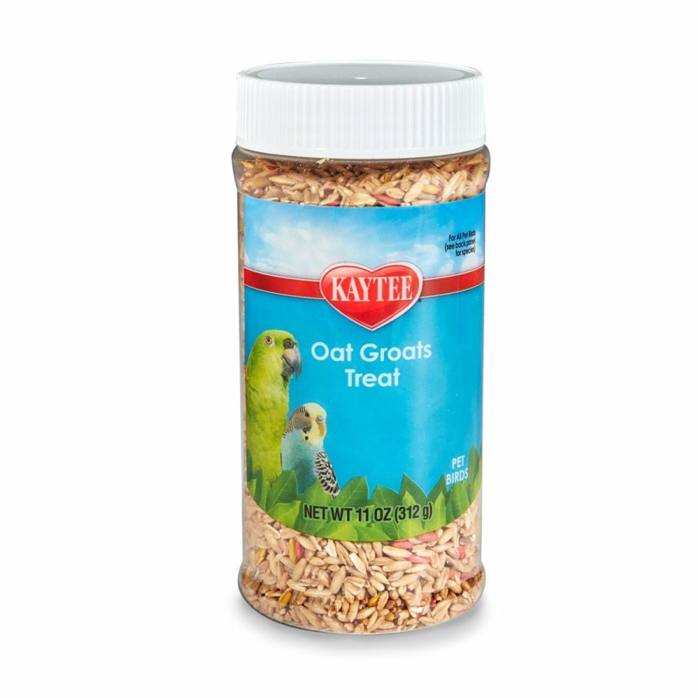 Oat Groats Treat Jar- All Pet Birds 11 Oz Pet Bird