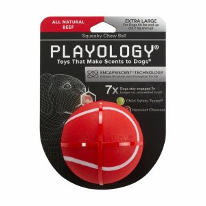 Playology Squeaky Chew Ball Beef Scented Dog Toy Dog