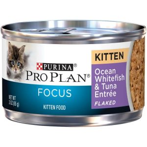 Purina Plan Focus Kitten Ocean Whitefish And Tuna Entree Flaked Canned Cat Food Cat