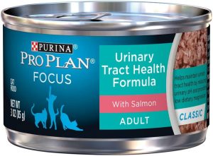 Purina Plan Focus Urinary Tract Health Salmon Recipe Canned Cat Food Cat