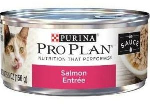 Purina Plan Salmon Entree In Sauce Canned Cat Food Cat