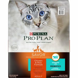 Purina Plan Savor Chicken & Rice Formula Dry Cat Food Cat