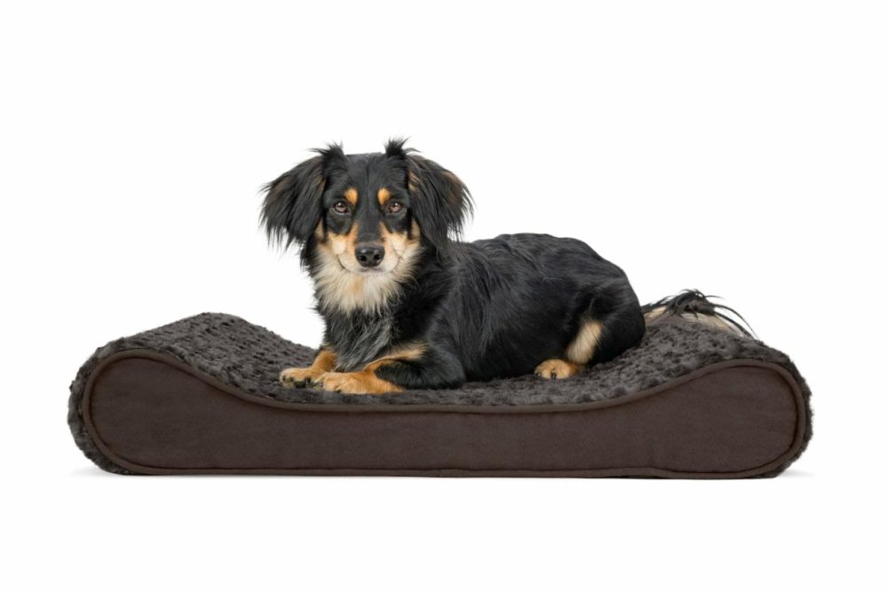 Ultra Plush Luxe Lounger Orthopedic Dog Bed – Medium, Chocolate Beds & Mats