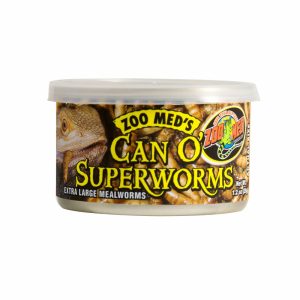 Can O’ Superworms Reptile