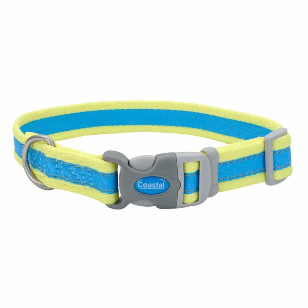 Reflective Adjustable Dog Collar, Blue And Yellow, Xs Dog