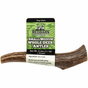 Small/Medium Whole Deer Antler Dog Chew Dog