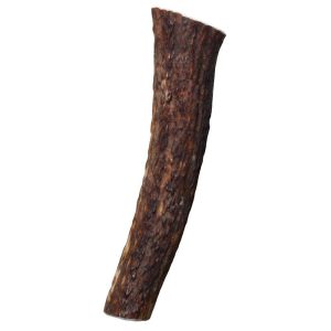 Wild All-Natural Whole Elk Antler For Dogs Dog